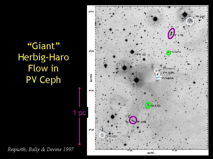 “Giant” Herbig-Haro Flow in PV Ceph 1 pc Reipurth, Bally & Devine 1997 