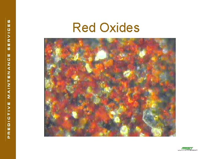 Red Oxides 