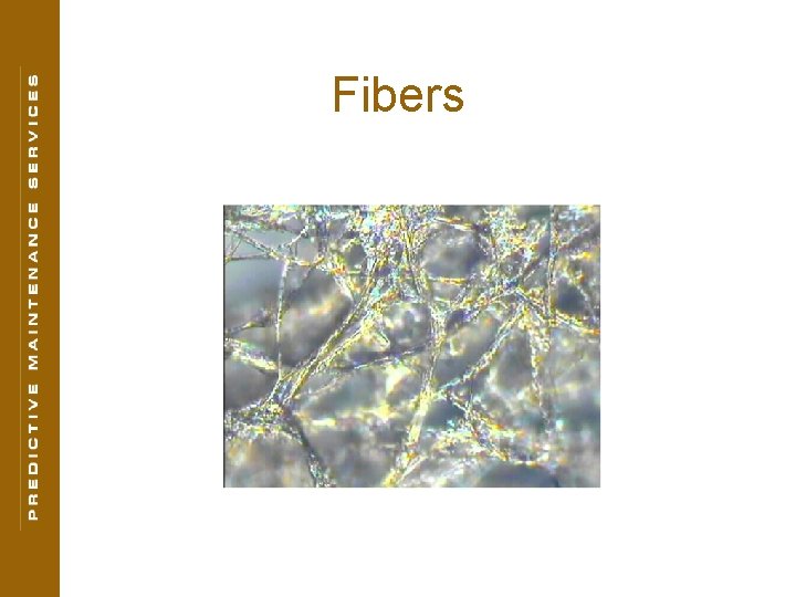 Fibers 