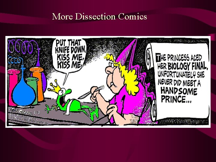 More Dissection Comics 