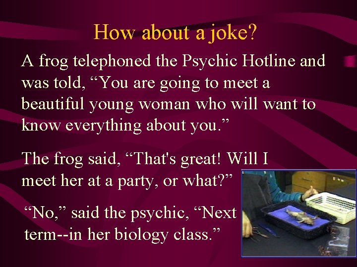 How about a joke? A frog telephoned the Psychic Hotline and was told, “You