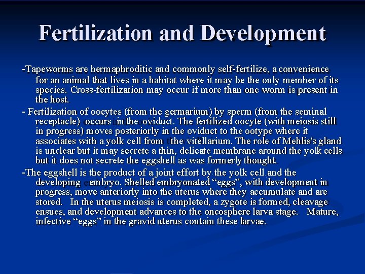 Fertilization and Development -Tapeworms are hermaphroditic and commonly self-fertilize, a convenience for an animal