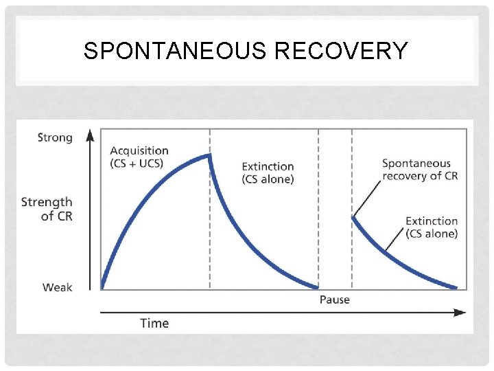 SPONTANEOUS RECOVERY 