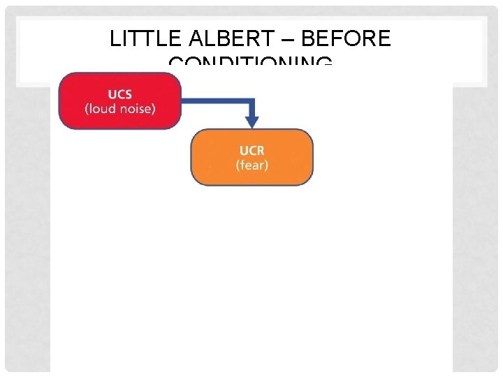 LITTLE ALBERT – BEFORE CONDITIONING 