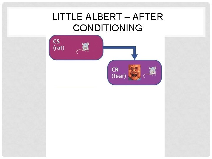 LITTLE ALBERT – AFTER CONDITIONING 