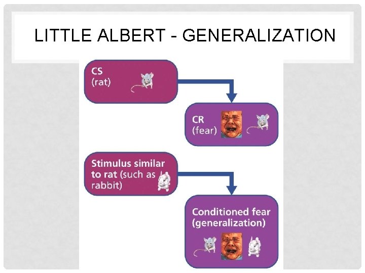 LITTLE ALBERT - GENERALIZATION 