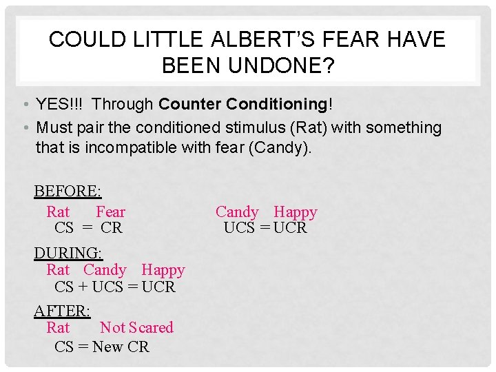 COULD LITTLE ALBERT’S FEAR HAVE BEEN UNDONE? • YES!!! Through Counter Conditioning! • Must