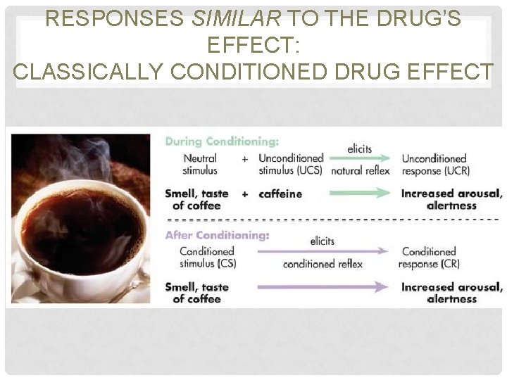 RESPONSES SIMILAR TO THE DRUG’S EFFECT: CLASSICALLY CONDITIONED DRUG EFFECT 