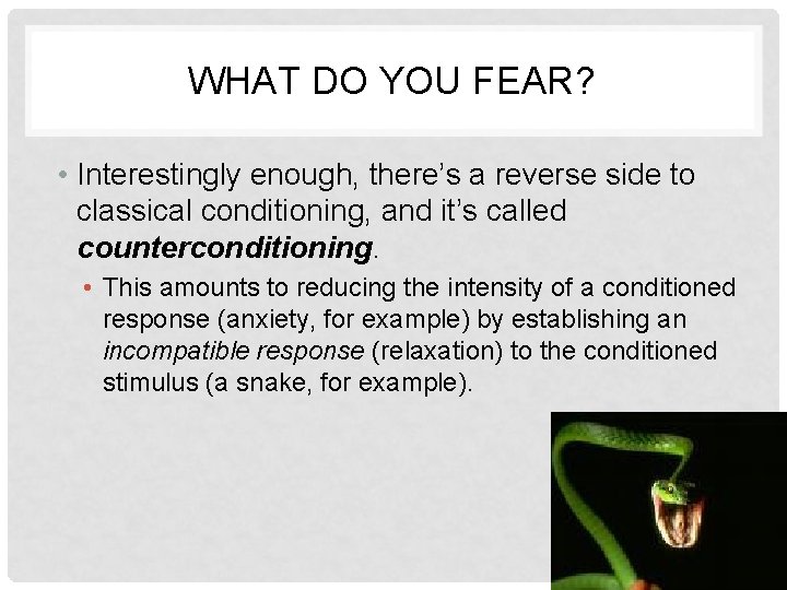 WHAT DO YOU FEAR? • Interestingly enough, there’s a reverse side to classical conditioning,