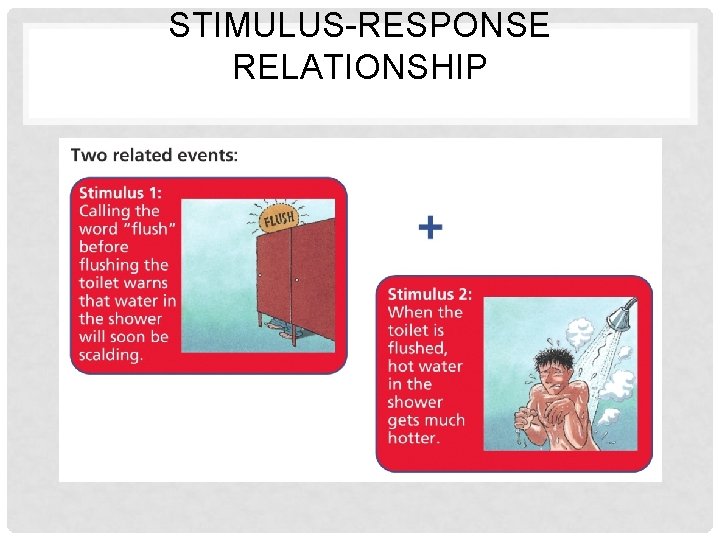 STIMULUS-RESPONSE RELATIONSHIP 