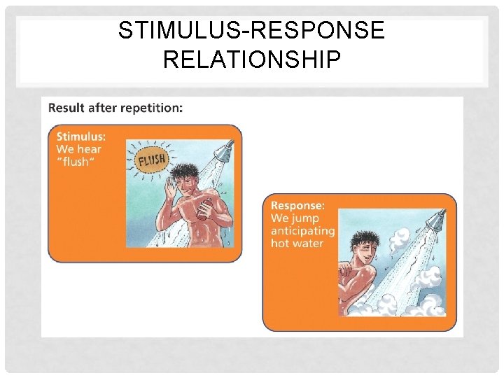 STIMULUS-RESPONSE RELATIONSHIP 