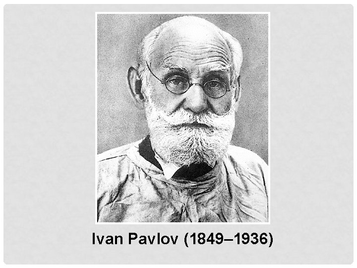 Ivan Pavlov (1849– 1936) 