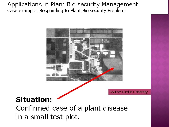 Applications in Plant Bio security Management Case example: Responding to Plant Bio security Problem