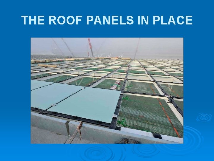 THE ROOF PANELS IN PLACE THE ROOF PANELS IN PLACE