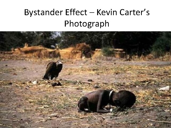 Bystander Effect – Kevin Carter’s Photograph 