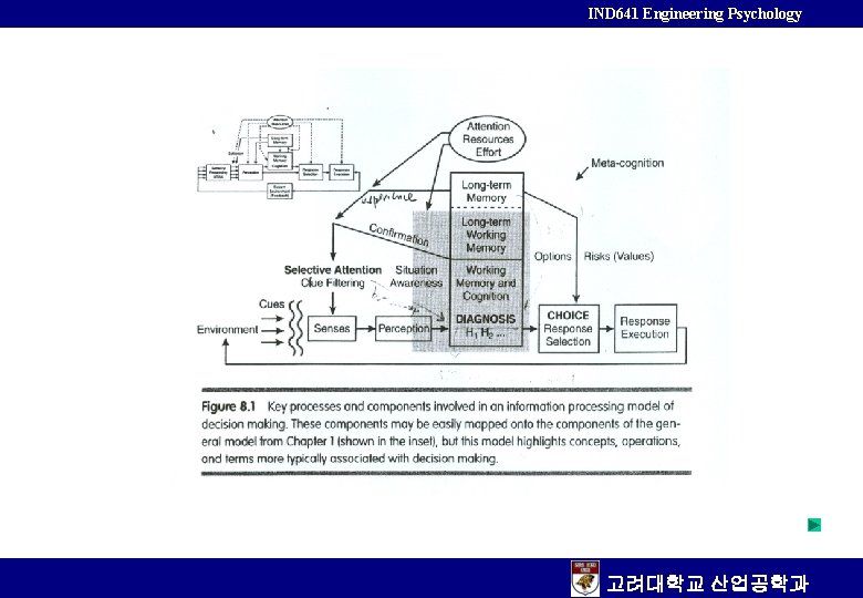 IND 641 Engineering Psychology 고려대학교 산업공학과 