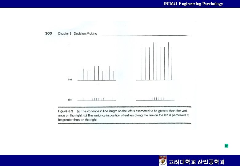 IND 641 Engineering Psychology 고려대학교 산업공학과 
