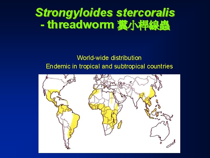 Strongyloides stercoralis - threadworm 糞小桿線蟲 World-wide distribution Endemic in tropical and subtropical countries 