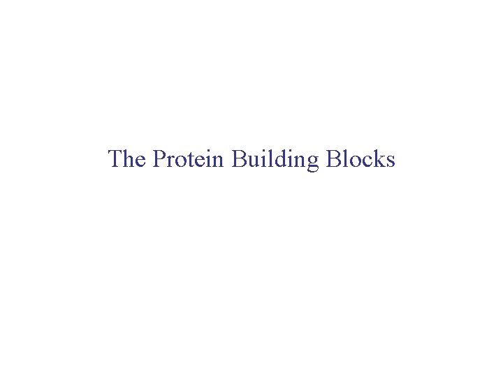 The Protein Building Blocks 