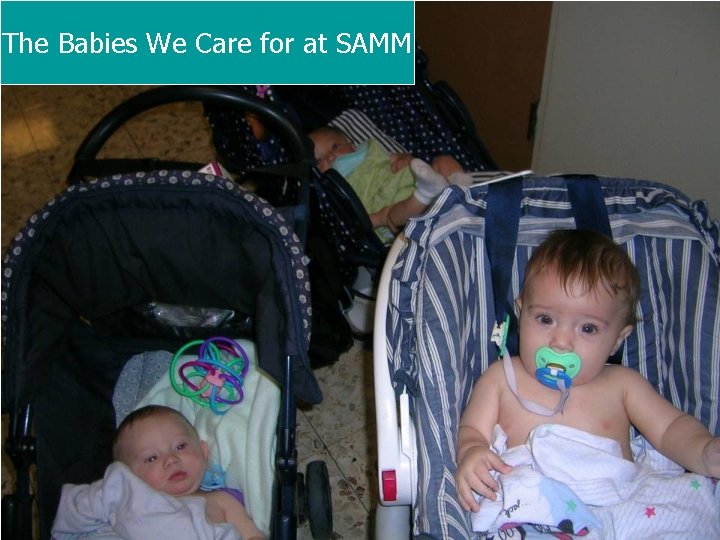 The Babies We Care for at SAMM 