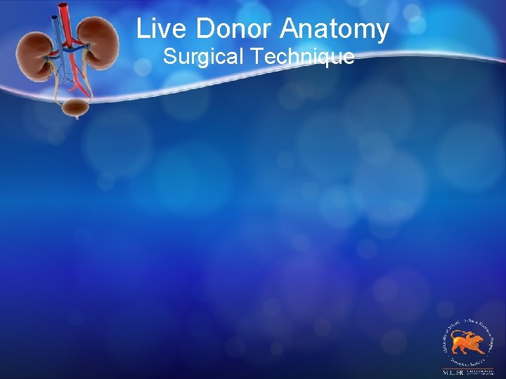 Live Donor Anatomy Surgical Technique 