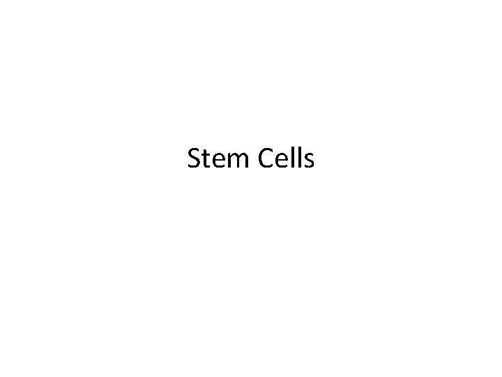 Stem Cells 