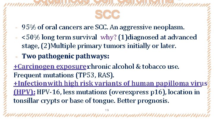 Squamous Cell Carcinoma SCC 95% of oral cancers are SCC. An aggressive neoplasm. ‐