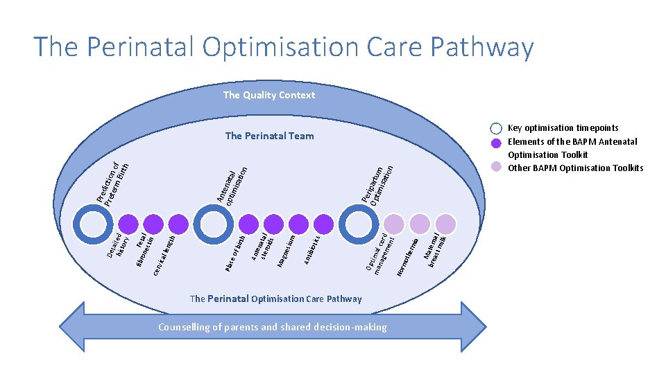 The Perinatal Optimisation Care Pathway The Quality Context Key optimisation timepoints Elements of the