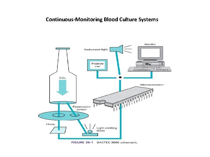 Continuous-Monitoring Blood Culture Systems 