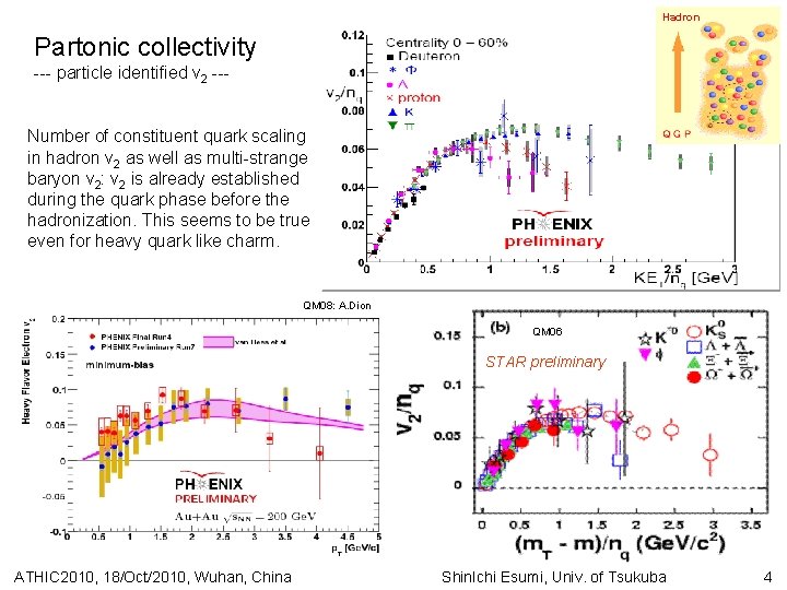 Hadron Partonic collectivity --- particle identified v 2 --Number of constituent quark scaling in