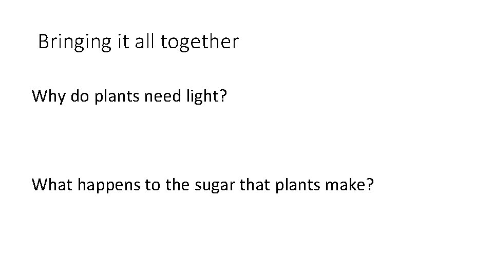 Bringing it all together Why do plants need light? What happens to the sugar