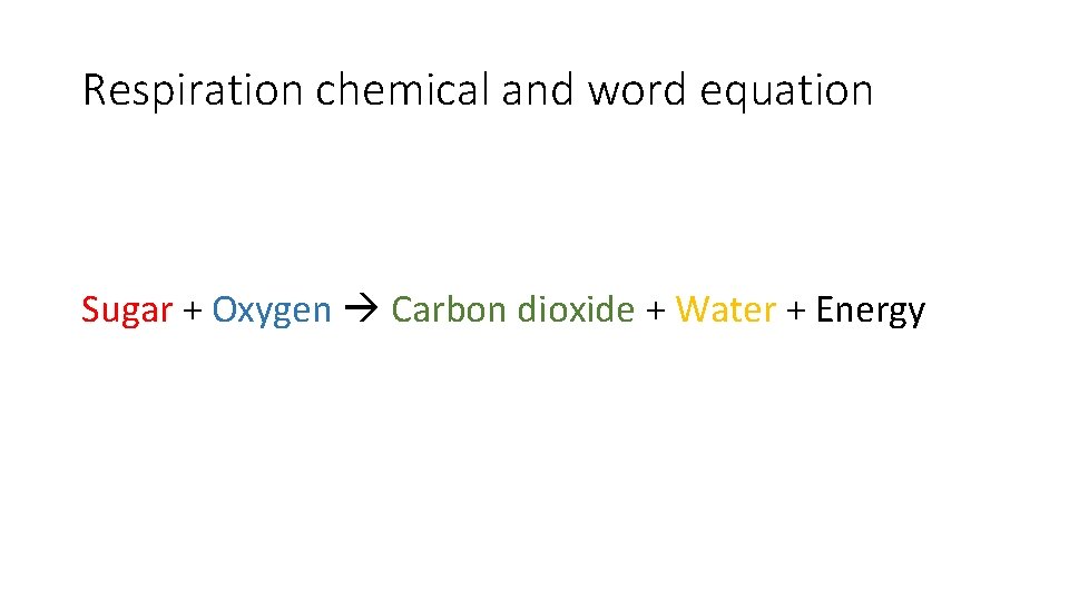 Respiration chemical and word equation Sugar + Oxygen Carbon dioxide + Water + Energy