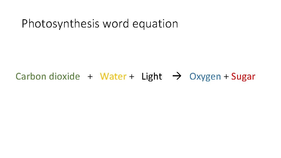 Photosynthesis word equation Carbon dioxide + Water + Light Oxygen + Sugar 