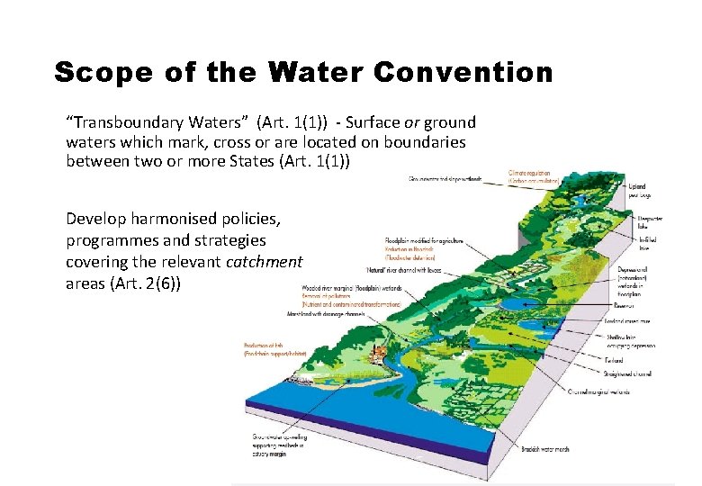 Scope of the Water Convention “Transboundary Waters” (Art. 1(1)) - Surface or ground waters
