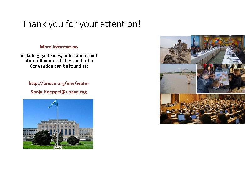 Thank you for your attention! More information including guidelines, publications and information on activities
