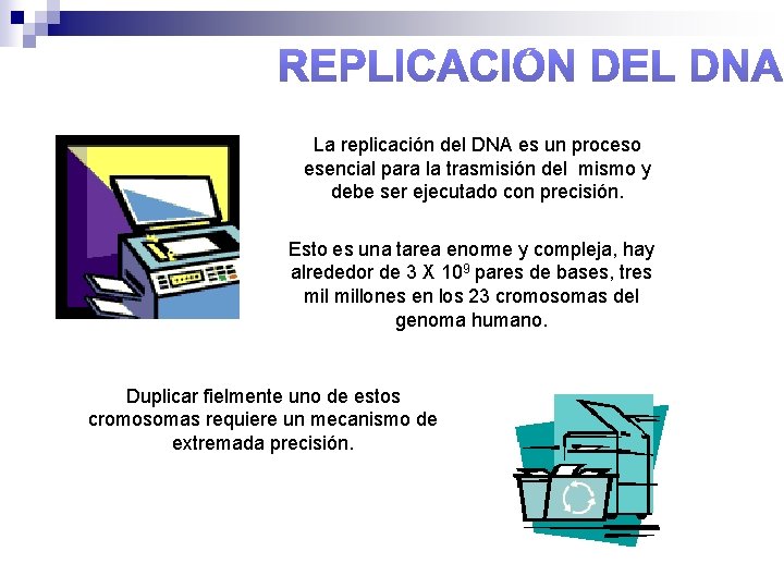 La replicación del DNA es un proceso esencial para la trasmisión del mismo y