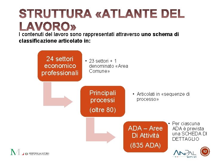 I contenuti del lavoro sono rappresentati attraverso uno schema di classificazione articolato in: 24