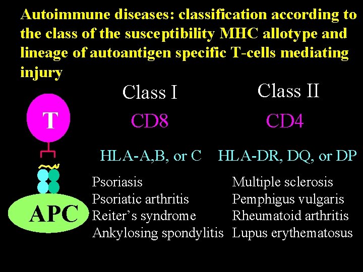 Autoimmune diseases: classification according to the class of the susceptibility MHC allotype and lineage