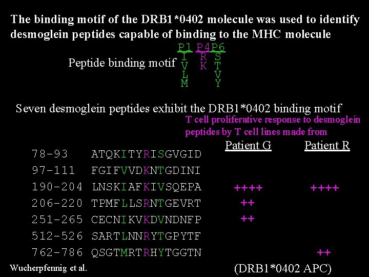 The binding motif of the DRB 1*0402 molecule was used to identify desmoglein peptides