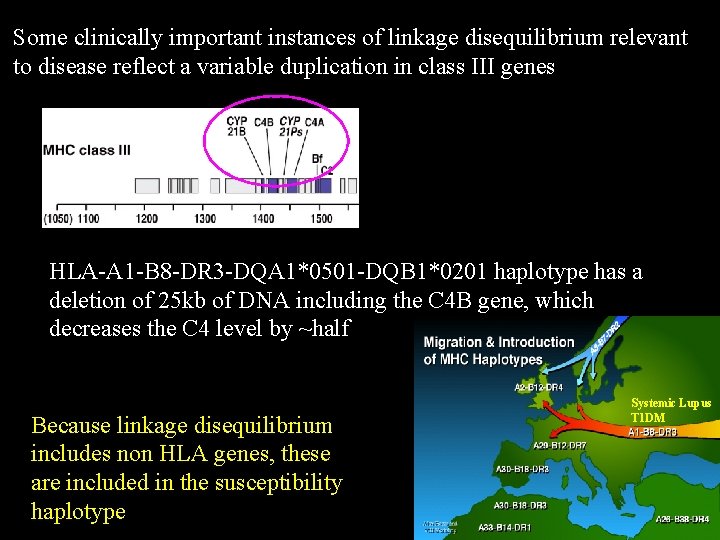 Some clinically important instances of linkage disequilibrium relevant to disease reflect a variable duplication