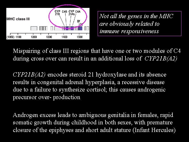 Not all the genes in the MHC are obviously related to immune responsiveness Mispairing