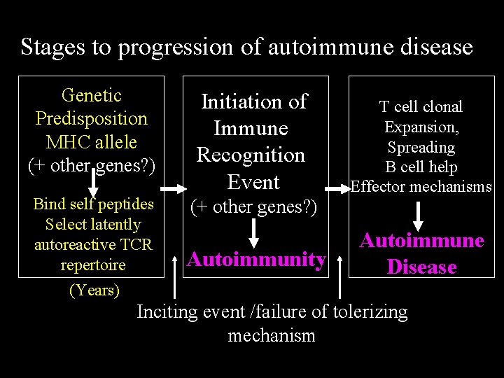 Stages to progression of autoimmune disease Genetic Predisposition MHC allele (+ other genes? )