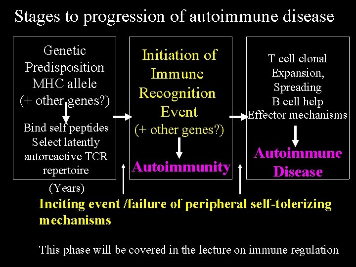 Stages to progression of autoimmune disease Genetic Predisposition MHC allele (+ other genes? )