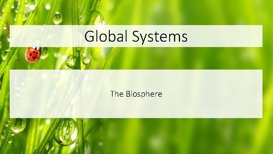 Global Systems The Biosphere 