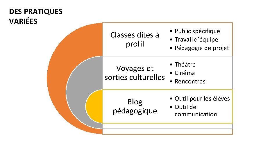 DES PRATIQUES VARIÉES Classes dites à profil • Public spécifique • Travail d’équipe •