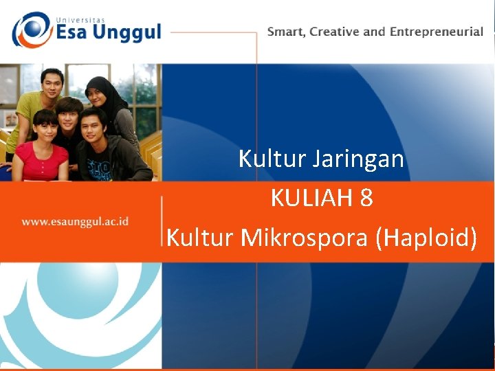 Kultur Jaringan KULIAH 8 8 KULIAH KULTUR JARIGAN MIKROSPORA Kultur Mikrospora (Haploid) 