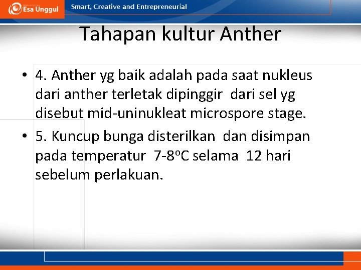 Tahapan kultur Anther • 4. Anther yg baik adalah pada saat nukleus dari anther