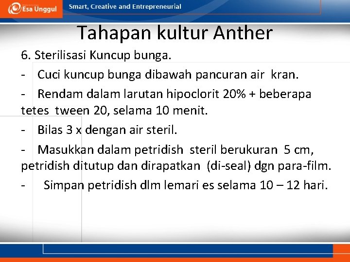 Tahapan kultur Anther 6. Sterilisasi Kuncup bunga. - Cuci kuncup bunga dibawah pancuran air