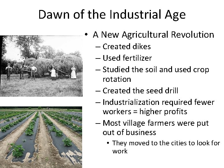 Dawn of the Industrial Age • A New Agricultural Revolution – Created dikes –