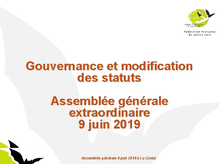 Gouvernance et modification des statuts Assemblée générale extraordinaire 9 juin 2019 Assemblée générale 9